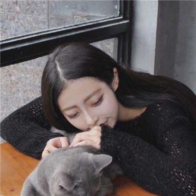秦美人手游下载