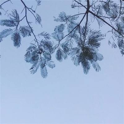 妖月传说折扣平台下载