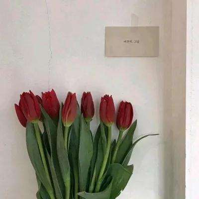 炼神无限元宝版下载